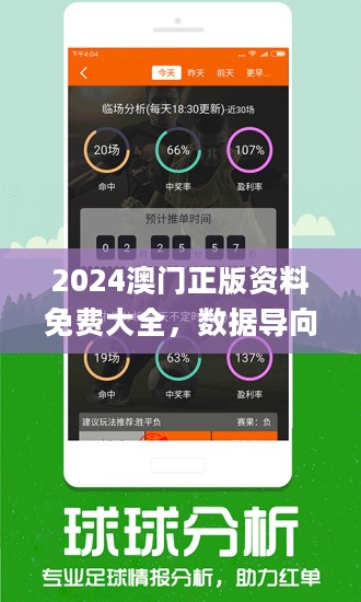 2024新澳天天免费资料-精选解释解析落实